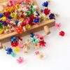 Natural dried flower DIY material Brazil color little star flower dried flower flower glass cover glass hood, little star flower head wholesale