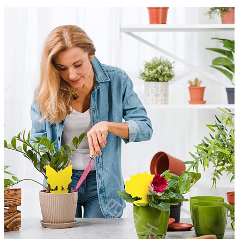 끈적끈적한 벌레 스트립