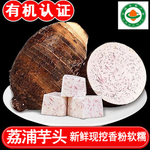 �V���������^���l�ЙC���^���������r�����^�F�ڬF�lһ�����l���]