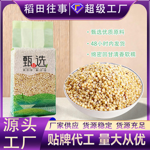 �t������500g ��հ��b�|������Ó������������s�Z ���������l