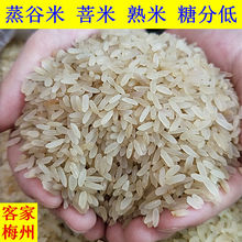 梅州菩米五华熟米普米葡米蒸谷米丝苗米新鲜特级农家大米