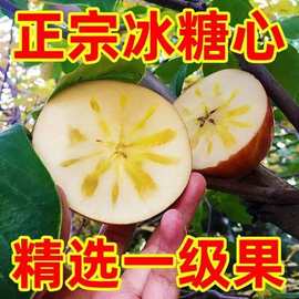 25年山西冰糖心红富士苹果新鲜水果当季应季整箱脆甜多汁丑苹果
