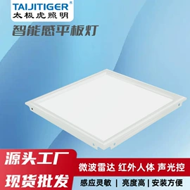 LED球泡灯;LED灯控制器;吸顶灯