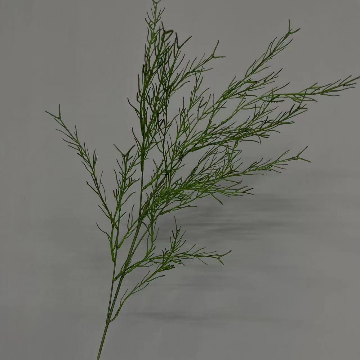 2024-05-06 08:48:30.jpg