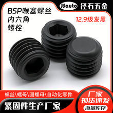 BSP������˿ ֹ����˿ DIN906������ͷ��˿ NPT1/16~2��ͷ��˿