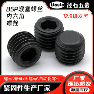 BSP�����ݽz ֹ���ݽz DIN906�������^�ݽz NPT1/16~2���^�ݽz