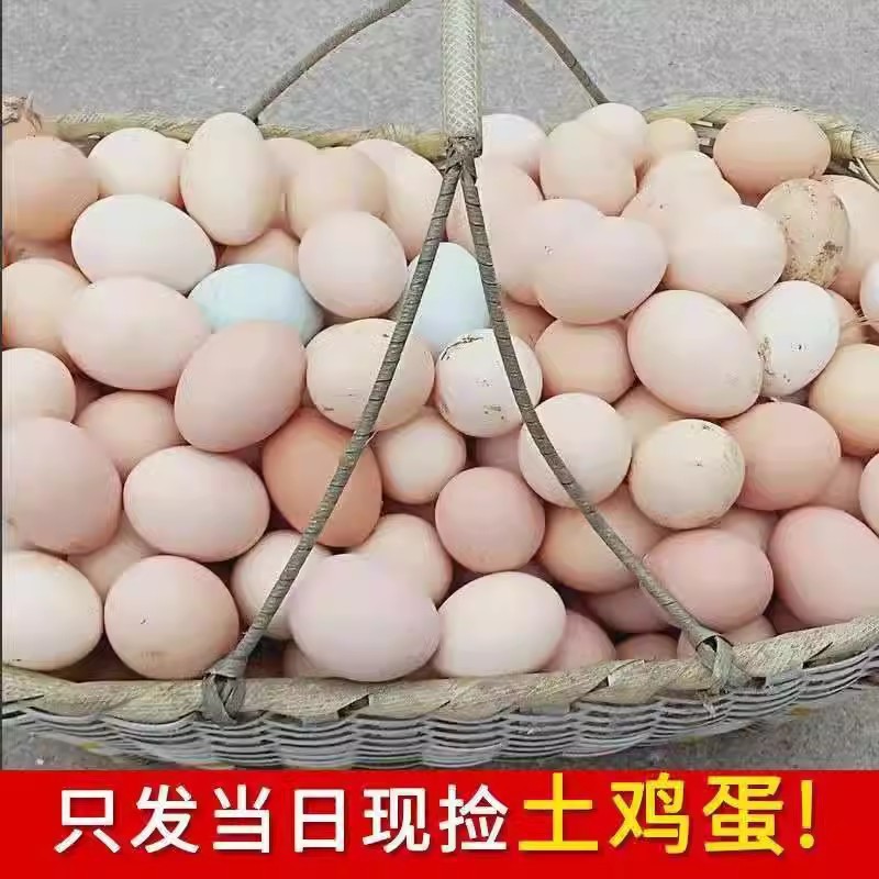 40枚农家土鸡蛋正宗散养新鲜原生态笨鸡蛋一虫草营养商用笨草团购