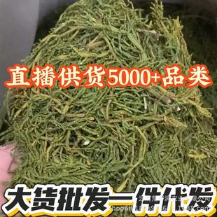 ���l��ϹŘ��з�_�ն���500gֱ��һ�����l ��؛���l