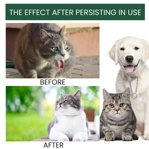 yegbong Pet Probiotic Drops Relieve Cats and Dogs’ Physical Discomfort and Oral Bad Breath Pet Care Solution