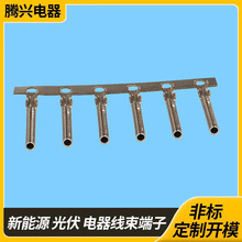 �S��ֱ�N����~�ܶ����p�T 2.55�A�ܶ���ע�ܹܠ����3.0�~�ܶ���