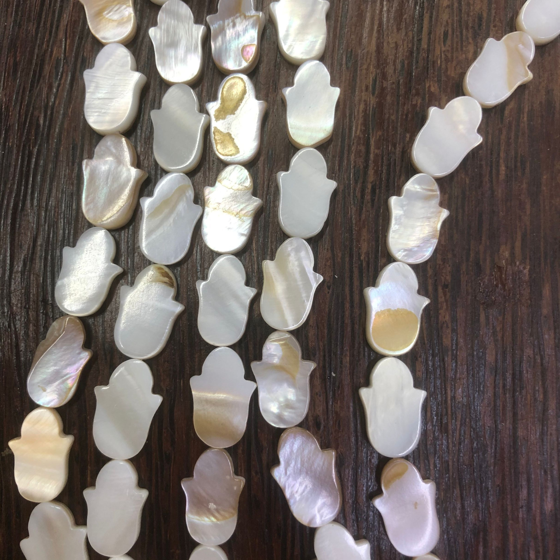 淡水贝:圆边手掌-1_旋转