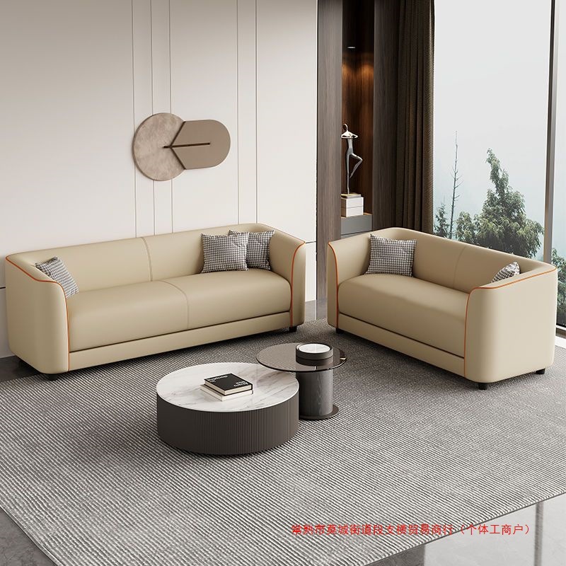 Cat Claw Leather Simple Light House Small Apartment Living Room Apartment Rental House Barber Shop Convenient Sofa for Two or Three People