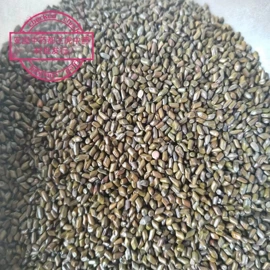其他药食同源;其他滋补;葛根