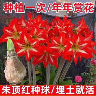 ��피t�ذ�N���ļ��_��ͥԺ�̨���Ի����������ͻ�