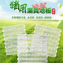猪用漏粪板 仔猪用塑料保育床 加厚型 猪圈猪场漏粪塑料地板