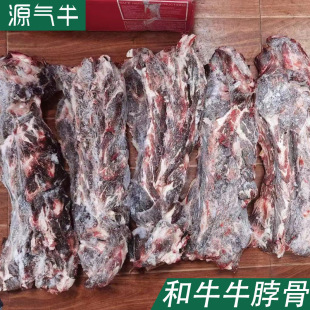 ţ�������ð���1265��ţţ���� �M���������ţ�� �������ţ�i��