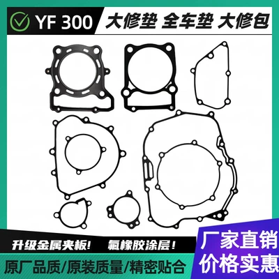 Suitable for Yf300 Wuji Lx300-6F 300Rr/Ds/Ac Overhaul Kit, Full Vehicle Gasket Gasketkit Accessories (Cylinder and parts)