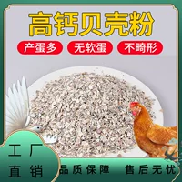 Порошок скорлупы для кормления цыплят с высоким содержанием кальция Корм для кур с высоким содержанием кальция
