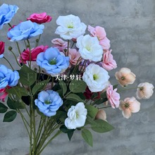 6^hdӻ c·廨ҾbLɳۻˇĔz