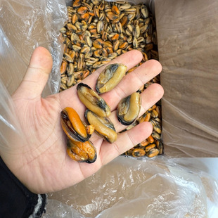 �㽭����  �Oؐ ��� ����ɺ��r��؛ һ��34�� ����r��