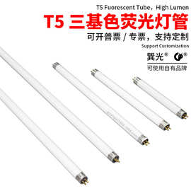 T5荧光灯管老式传统三基色卤粉灯管光管直管日光灯8w 14w 21w 28w