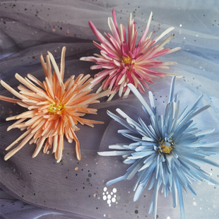 ���L�ջ������^����ƺ󉺰�צ�հl�A����h���X��ȹ���߅�A�Ʒ