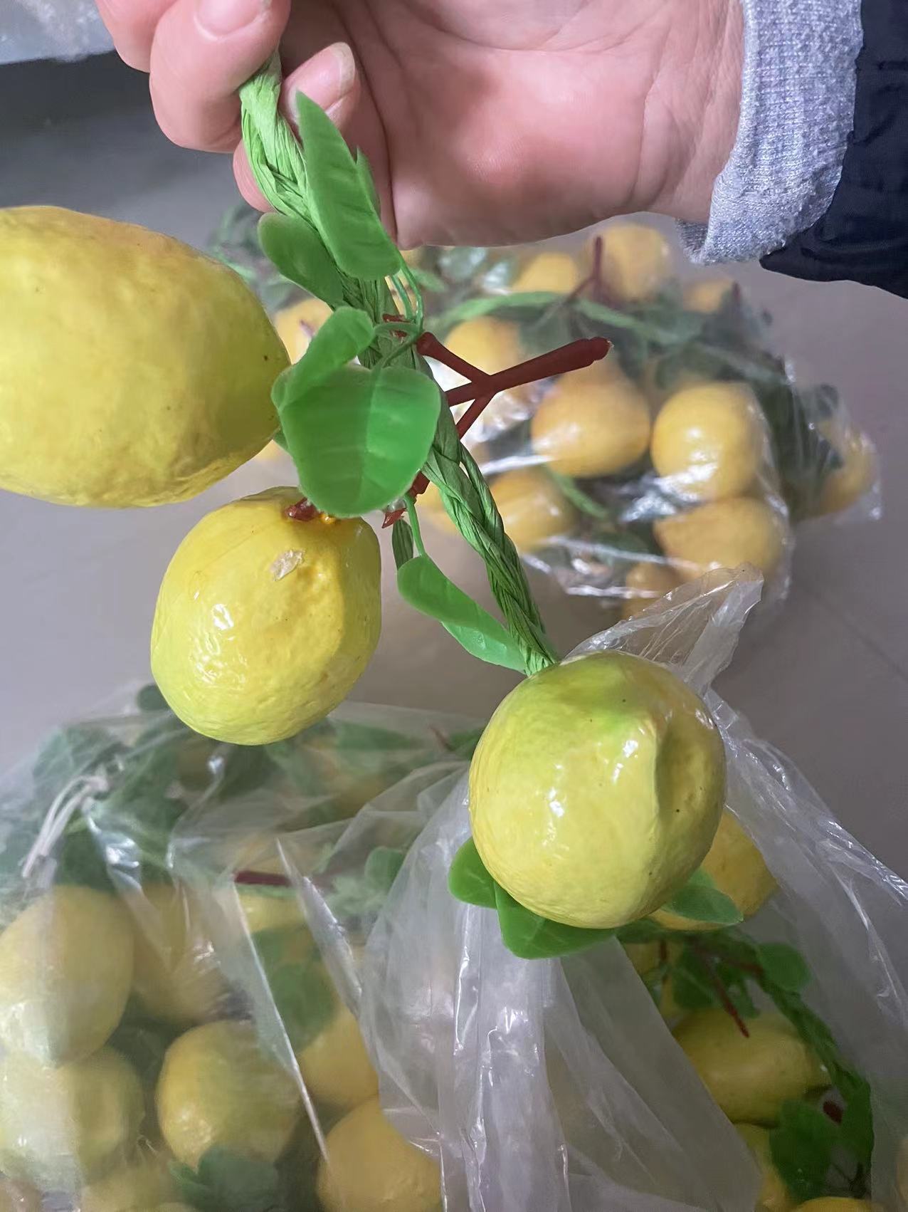 51076b517628d3adf3424816d6e38e