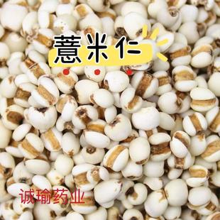 С޲������޲������؛����s�Z޲���ʼt����С��޲������ˮ��ʳ��