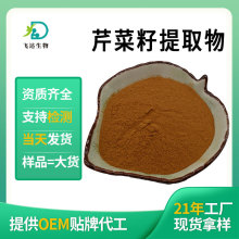 芹菜籽提取物 萃取芹菜籽粉食品级原料工厂现货批发多规格SC认证
