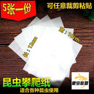 ��������W�쾰���x�^�����x�����N��5*10cm��������z����B��Ʒ