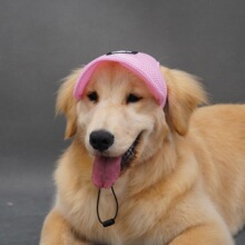 R 71854 Breathable Pet Sun Hat �����ڹ��ñ �羳ŷ��