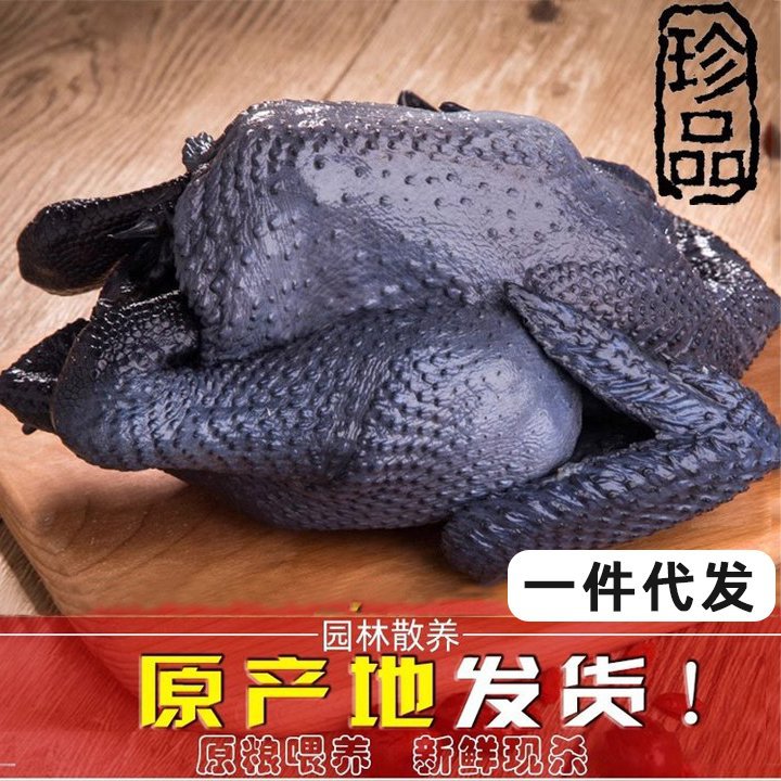 我老家乌鸡正宗林下散养优质乌鸡新鲜现杀冷冻乌鸡肉顺丰一件代发
