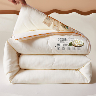 Tongxiang Silk Quilt Core Mother and Infant Class A Mulberry Silk Quilt Two-in-One Zipper Winter Wedding Quilt