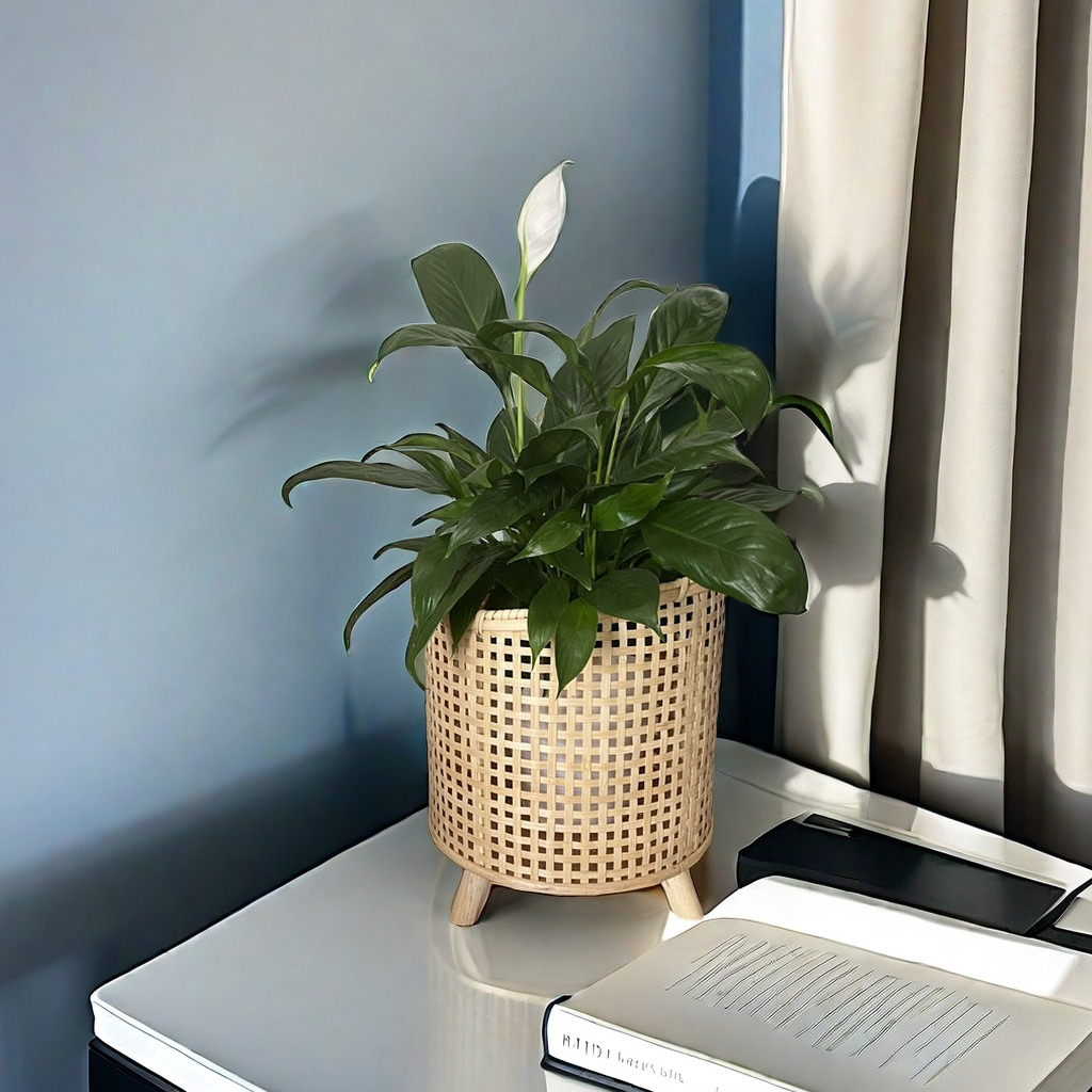 Soporte para Maceta de Ratán Hecho a Mano para Plantas de Interior