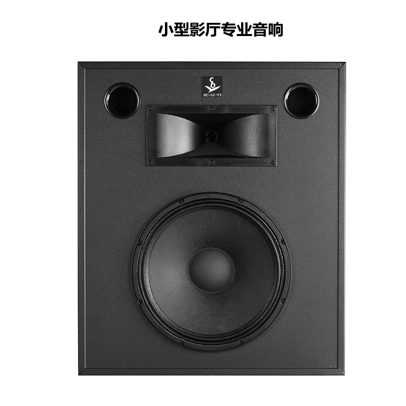 15 inch cinema main speaker multi-function hall recording studio speaker equipment home theater professional audio