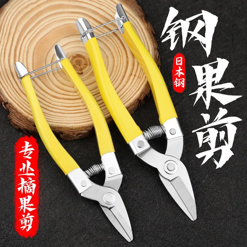 不锈钢罗定果剪枝剪柑橘剪修枝剪桔子剪葡萄剪修花剪稀园林采摘剪