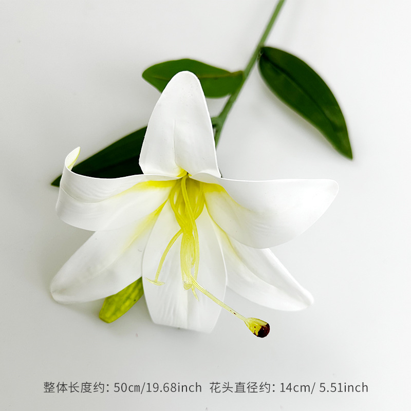 흰색 황색 심