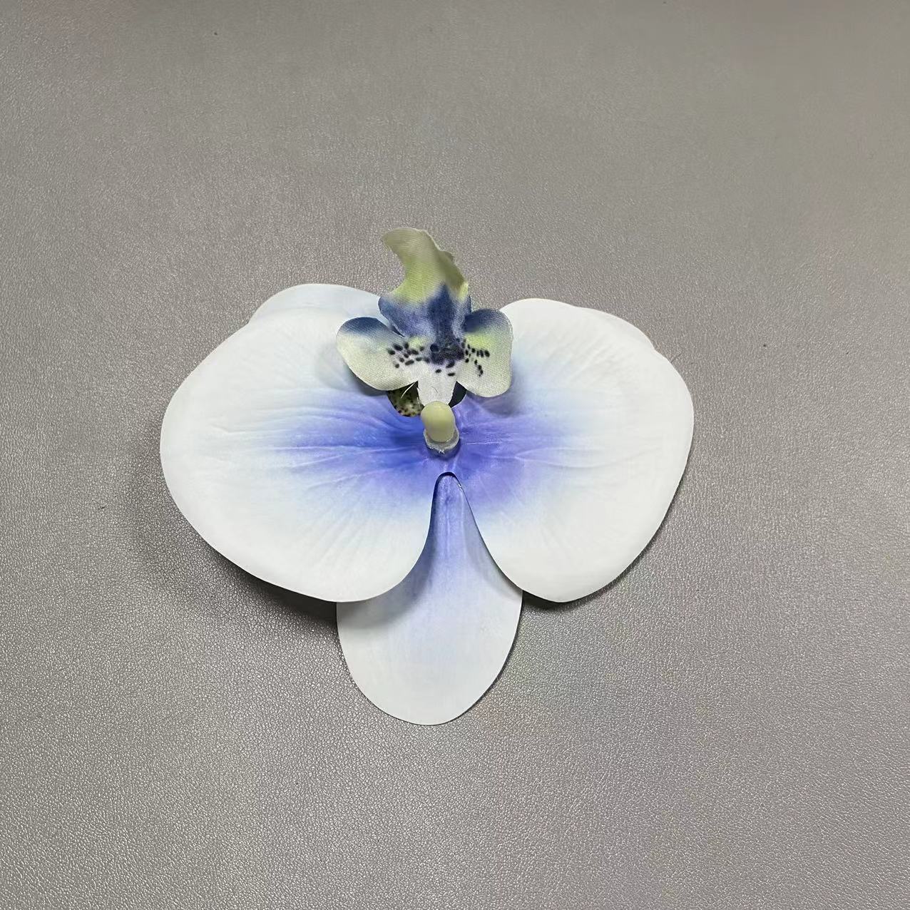 45호