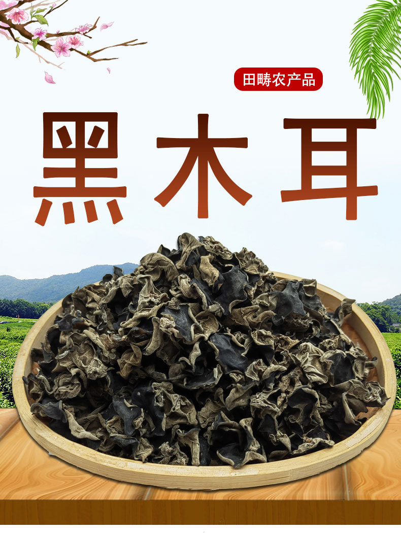 黑木耳_01.jpg