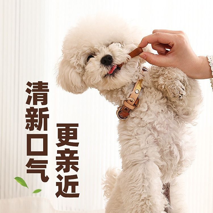 Recompensa de entrenamiento de palitos de limpieza de dientes para perros Teddy Corgi Suplementos de calcio para perros medianos y grandes