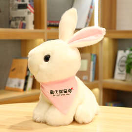 可爱毛绒玩具兔子小白兔系玩偶公仔儿童生日礼物布娃娃女儿童礼物