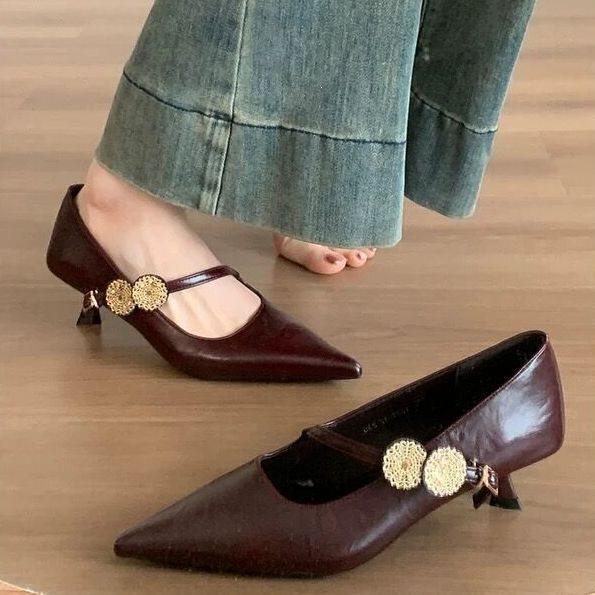 French-Style Elegant Pointed-Toe Single Shoes for Women 2025 New Model Versatile for Work and Pairing with Skirts Mary Jane Shoes Brown High Heels