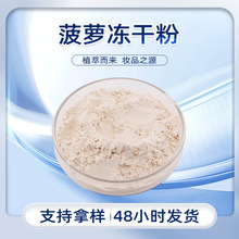 菠萝冻干粉 类白色粉末 易溶于水 菠萝果香 干燥密封储存 现货包