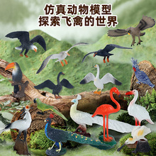 ���R�d����ģ�ͷ�����������W�^؈�^����ȸ�w�݃�ͯ�[���J֪�B�