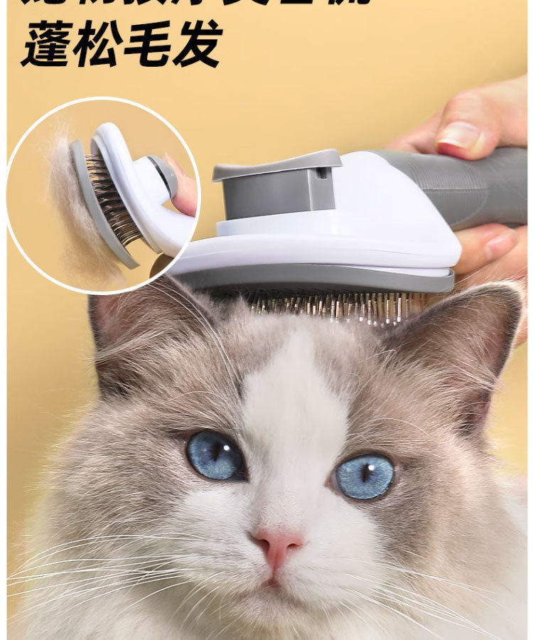 fec3180b-94e3-47cd-aebd-5bb367625f30.jpe