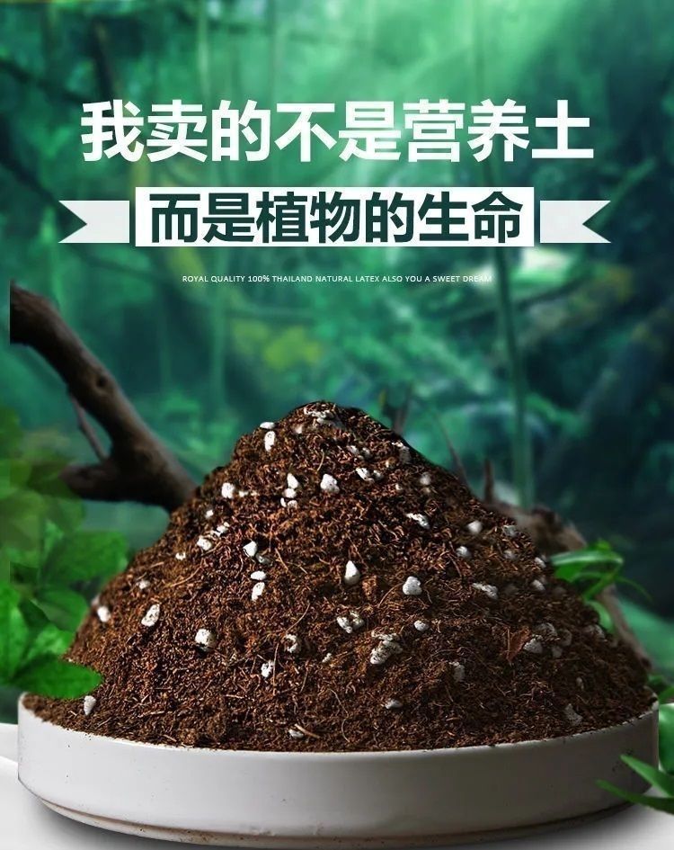 5bf6185a-22e9-42ed-b353-d4429c058936.jpe