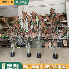 �߷������m������ �Gֲ�Ҿ��b���Ƥ�� ���m�����Ԕ[�������쾰