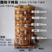 中蜂箱土养蜂箱圆格子蜂箱加厚全实心杉木圆桶蜂箱圆蜂箱诱蜂圆箱