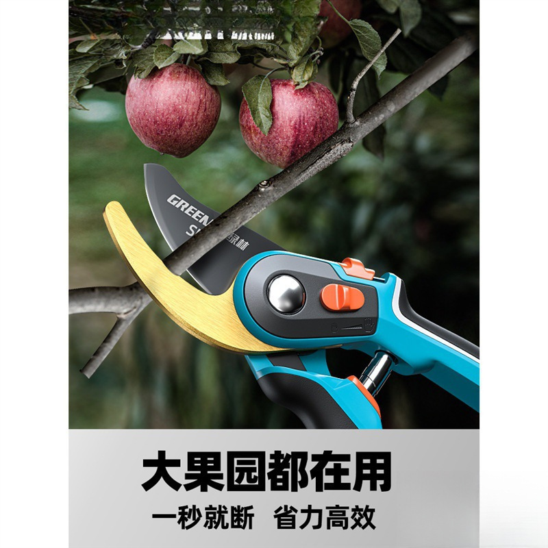 Tijeras florales Artesanía alemana Ramas de frutas Tijeras de ramas Cuchillos Tijeras de poda Bosque verde Jardinería Poda importada Envío gratis