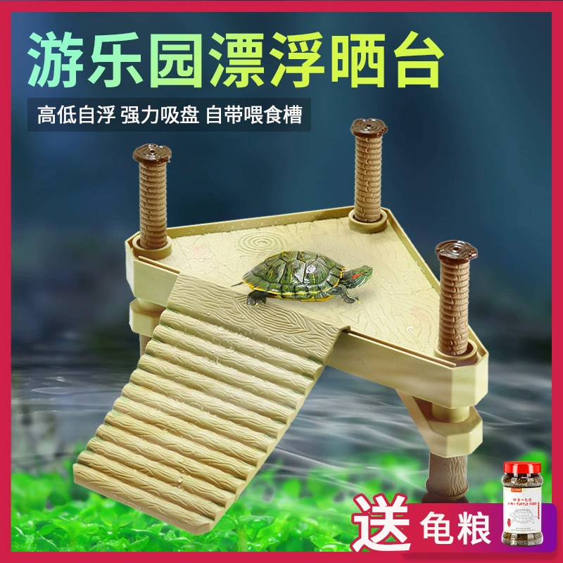 Черепаха загорается на платформе